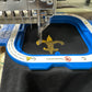 Embroidery & Digitization